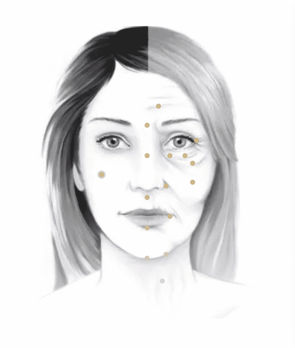 Visage Visage – Docteur Bernard Hayot