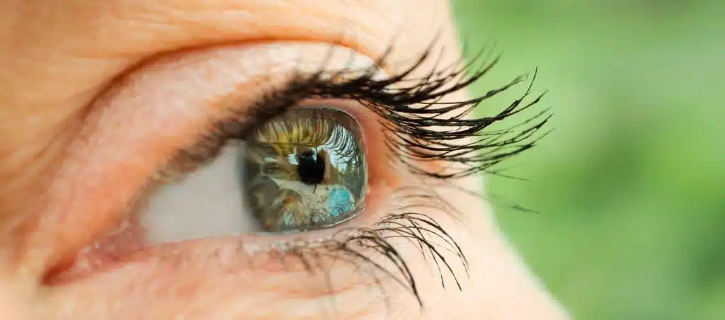 Rajeunir son regard en 2026 : Blépharoplastie ou Fillers – Docteur Bernard Hayot rajeunir son regard dr bernard hayot – Docteur Bernard Hayot